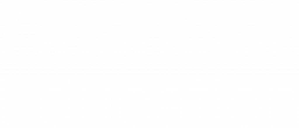 financial-education-steuern-invest-mentoring-deutschland-österreich-logo-white